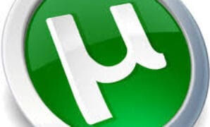 Arti dan Fungsi dari Torrent