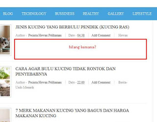 Mengatasi Post Snipet yang Hilang di Blog