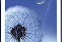 Tutorial Cara Flash Advan S5 Stock ROM by OTA or DFU